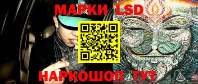 мяу мяу мука Краснознаменск